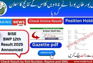 BISE BWP 2nd Year Result Check By Roll Number 2025 - Bahawalpur Board 11th Class Gazette pdf