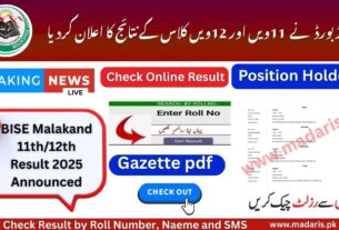 BISE Malakand 11th and 11th Class Result 2025 Announced