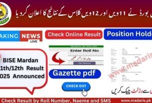BISE Mardan Result 2025 by Roll No 11th and 12th Gazette Link
