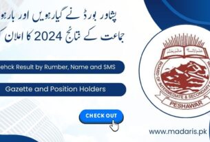 BISE Peshawar Result 2024 by Roll No 11th and 12th Gazette Link