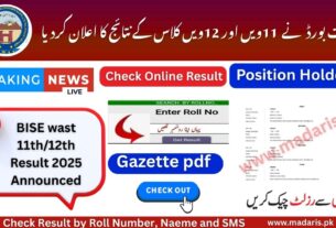 BISE Swat 11th and 11th Class Result 2025 Announced