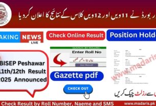 BISEP Peshawar 11th and 11th Class Result 2025 Announced