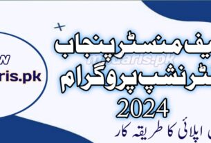 CM Punjab Internship Program 2024 Apply Online