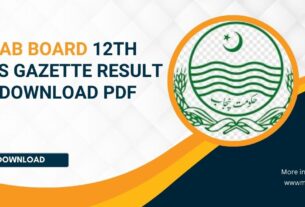 Punjab Board 12th Class Gazette Result 2024 Download pdf