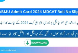 SZABMU Admit Card 2024 MDCAT Roll No Slip for ICT and AJK