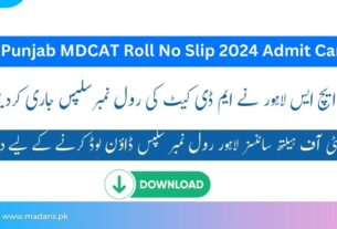 UHS Roll No Slip 2024 MDCAT Admit Card Download