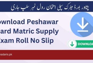 Download Peshawar Board Matric Supply Exam Roll No Slip