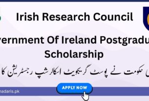 government of ireland postgraduate scholarship