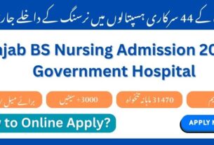 BS nursing admission 2024 25 in government hospital