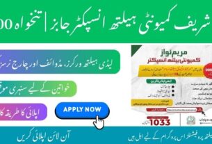 Maryam Nawaz Community Health Inspector Jobs 2025 Apply Online