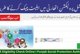 PSPA Eligibility Check Online | Punjab Social Protection Authority