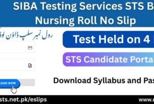 Sindh STS BS Nursing Roll No Slip
