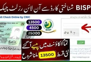 BISP 8171 Result Check Online by CNIC 2025- New Payment Updates!
