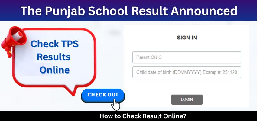 The Punjab School Result