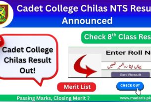 Cadet College Chilas Result 2025 NTS Answer Key