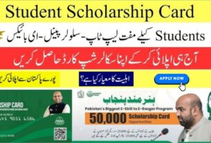 Hunarmand Punjab 50,000 Free Scholarship Cards Apply Online