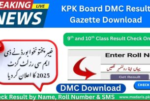 KPK Board DMC Result Gazette Download 2025 9th & 10th Class