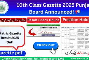 Matric 10th Class Gazette 2025 Punjab Board pdf