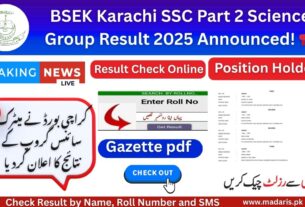 BSEK Karachi SSC Part 2 Science Group Result 2025 Gazette pdf