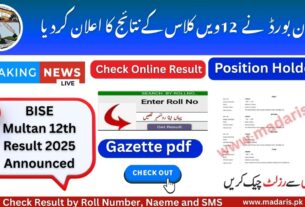 Multan Board 12th Class Result 2025 Announced - BISEMultan Result Gazette pdf Download
