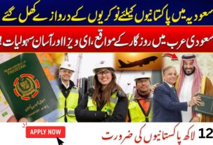 Jobs in Saudi Arabia 2025 for Pakistanis | Free Work Visa & Application Process