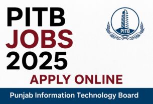 PITB Jobs 2025 Apply Online – Punjab Information Technology Board Careers