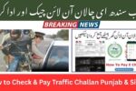 E-Challan Pakistan: Check & Pay Online in Punjab & Sindh | PSCA & Sindh Police Guide 2025
