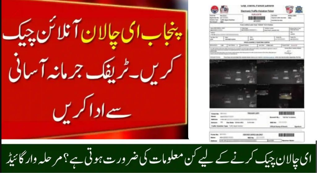 PSCA E-Challan System